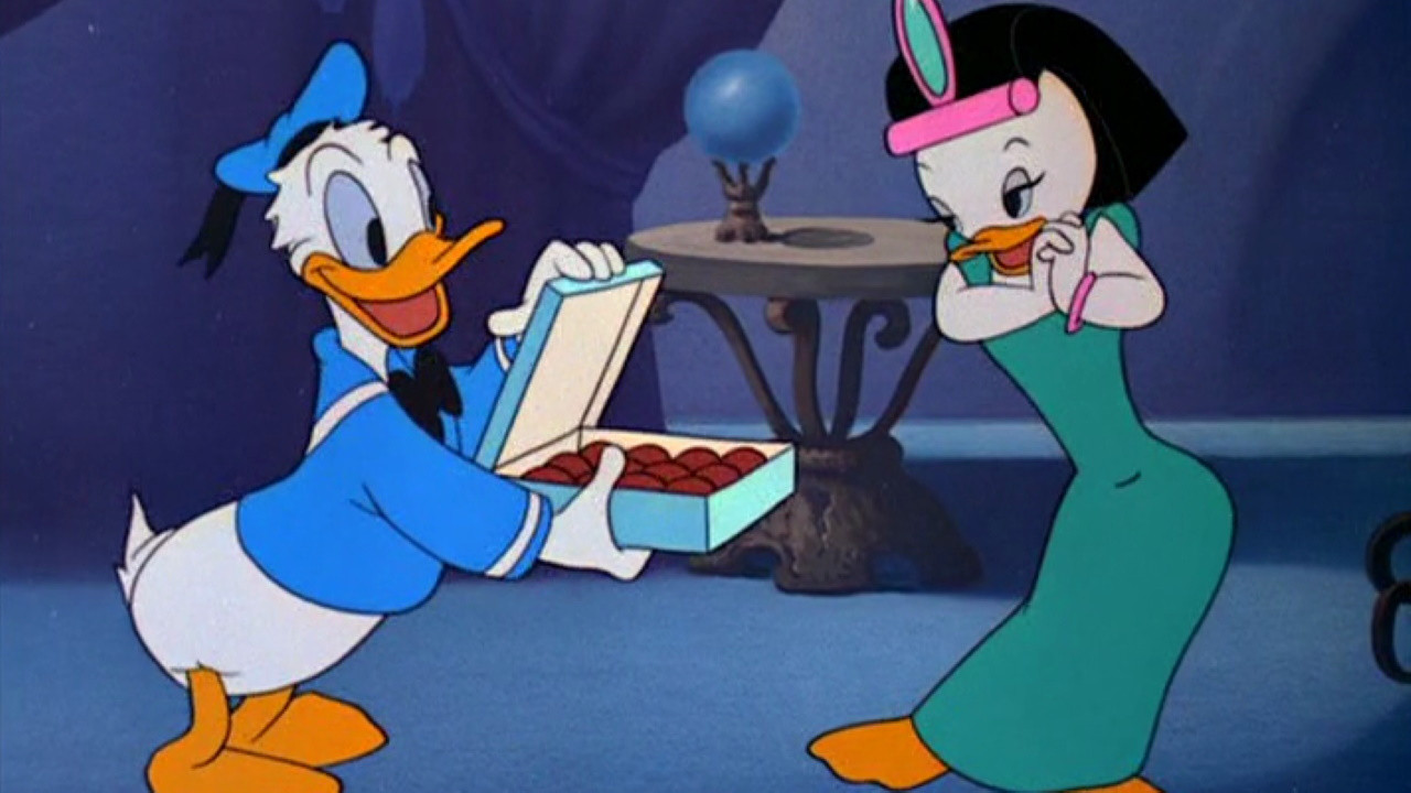 Straight Shooters Background