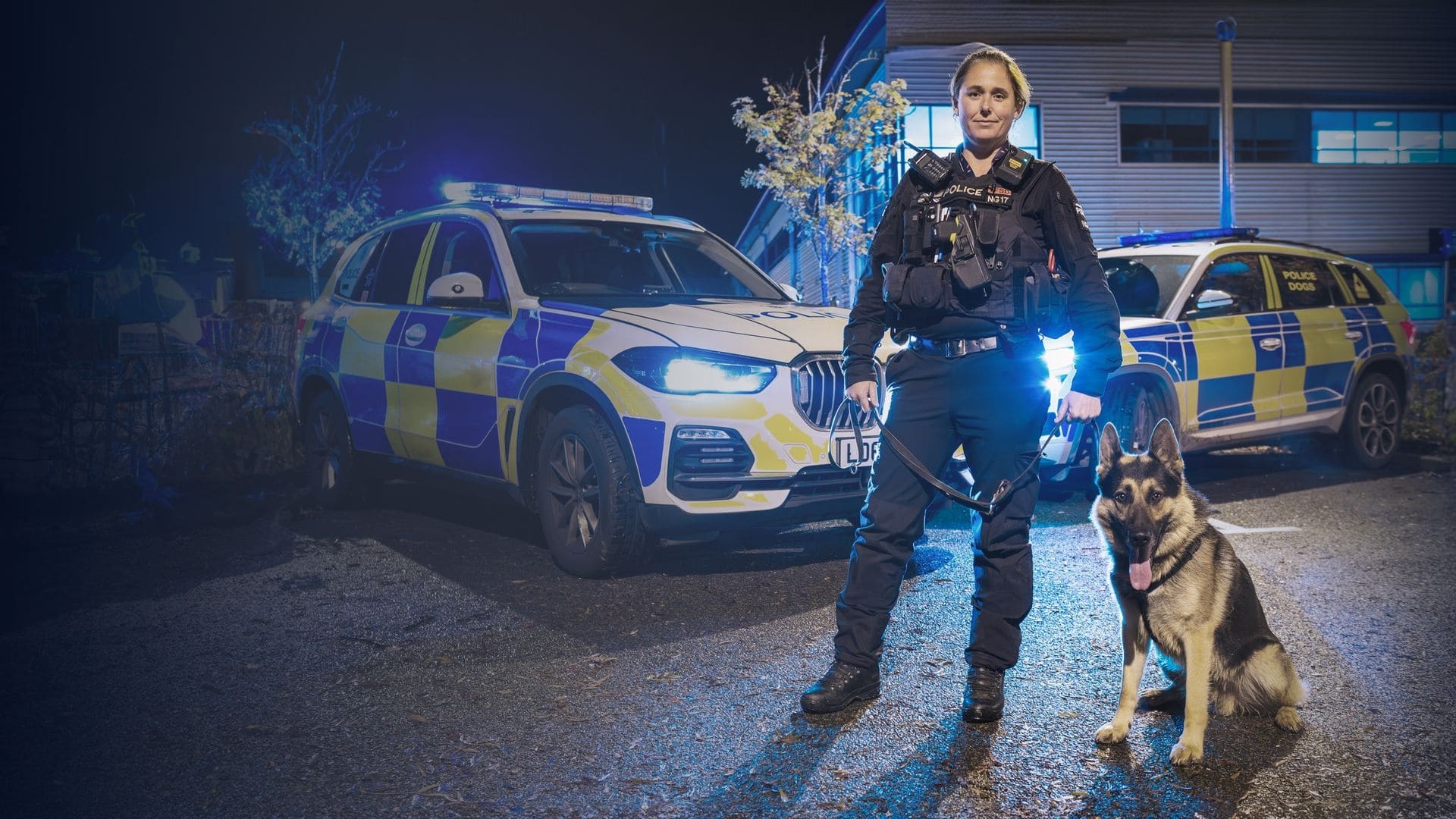 Police Interceptors Background