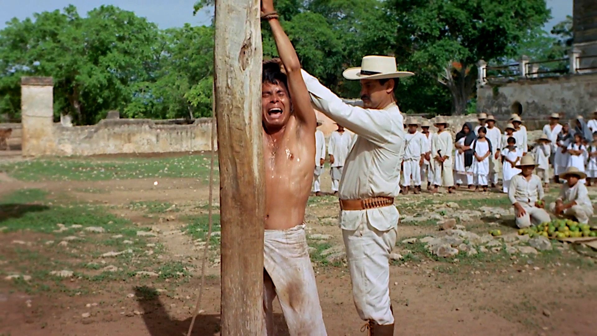 La casta divina Background