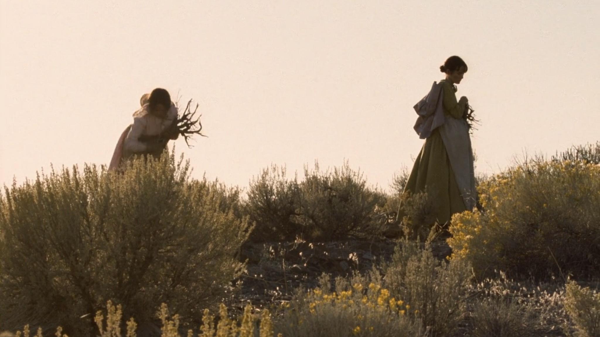 Meek's Cutoff Background