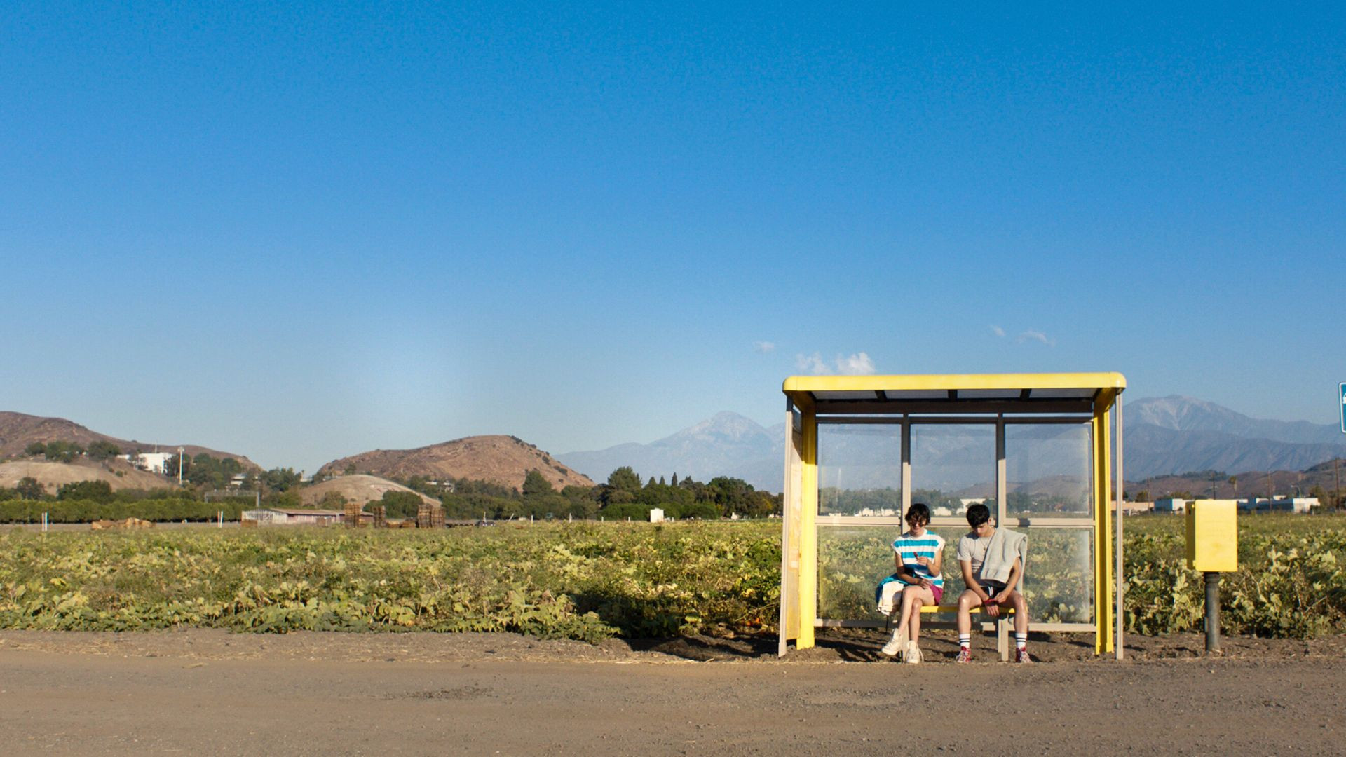 Aristotle and Dante Discover the Secrets of the Universe Background