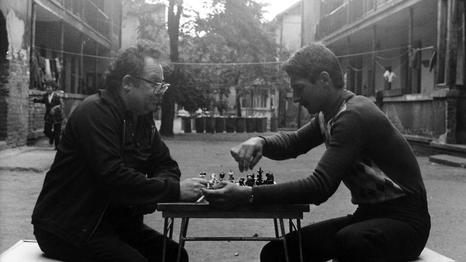 Family Nest Background