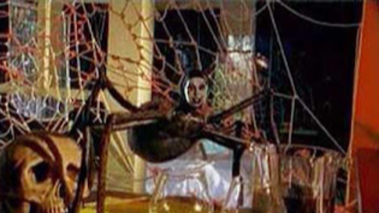 Mari-Cookie and the Killer Tarantula Background