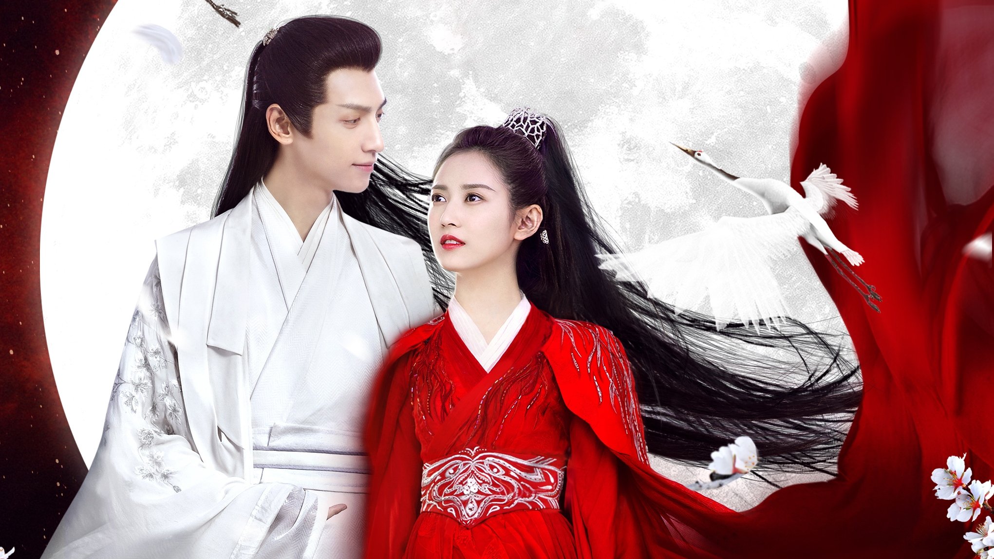 And the Winner Is Love Background