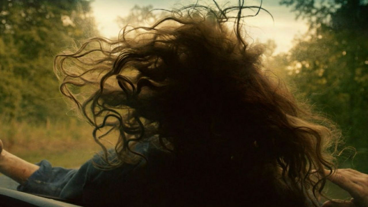 These Wild Things Background