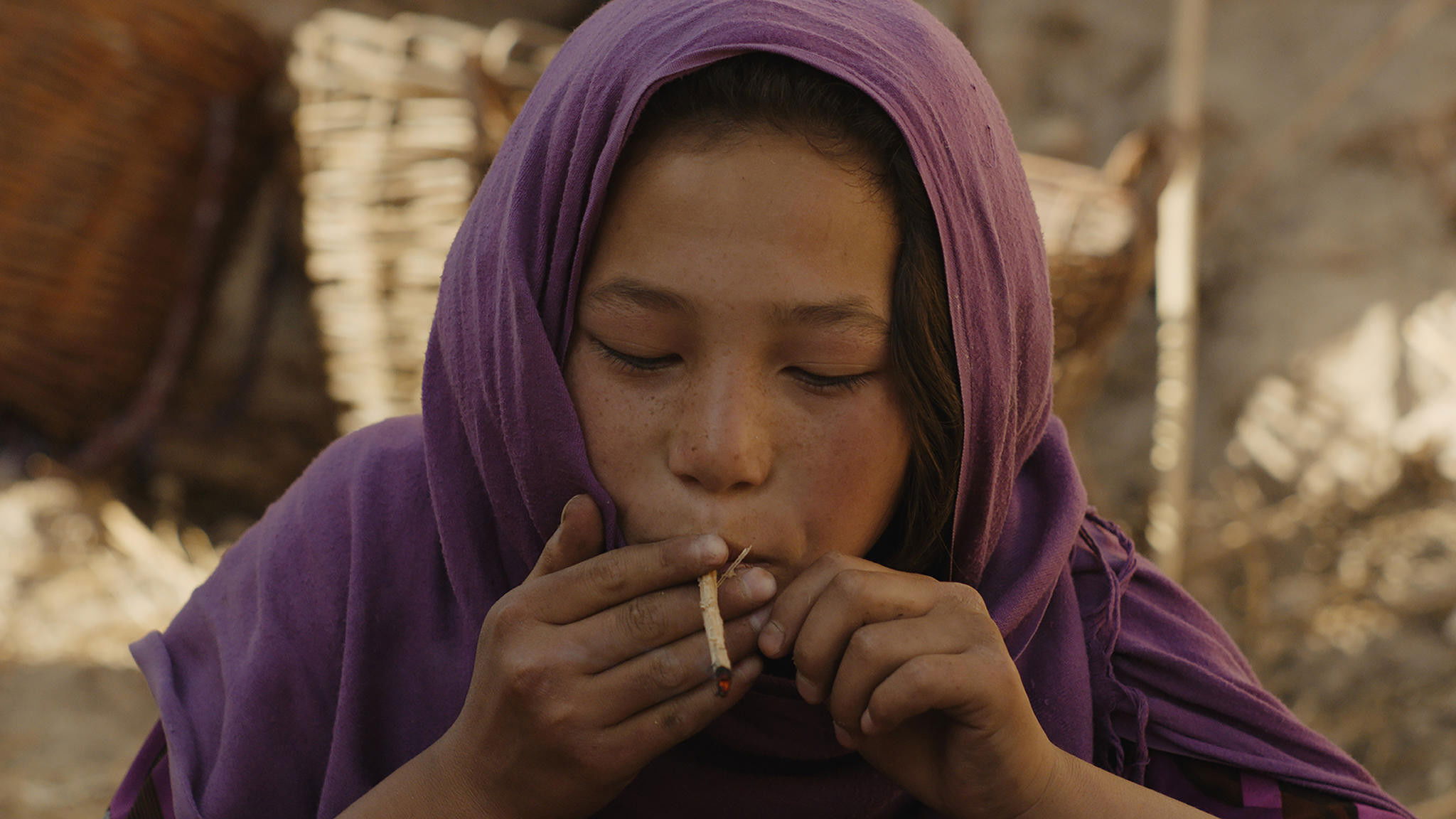 Wolf and Sheep Background