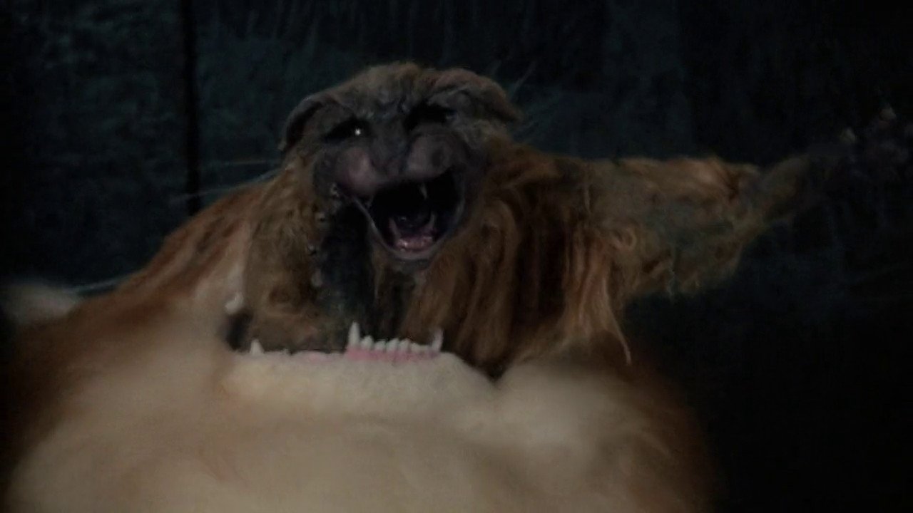 Uninvited Background