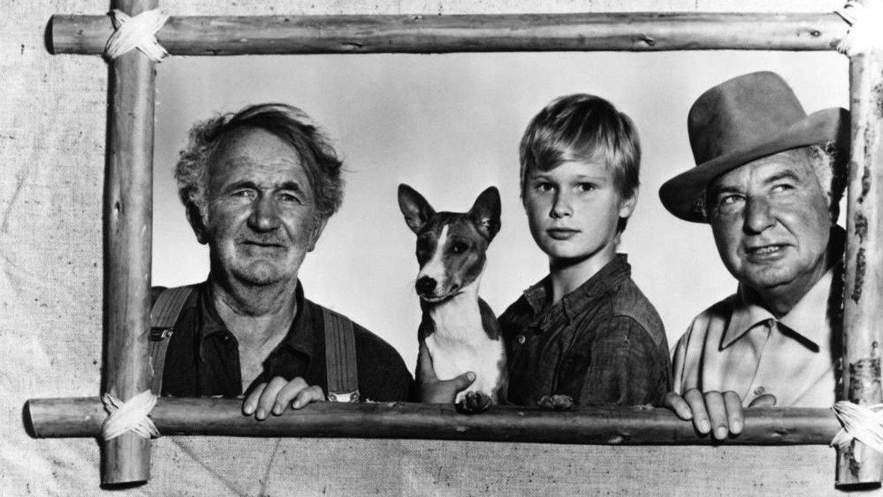 Good-bye, My Lady Background