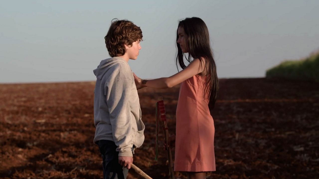 Don't Swallow My Heart, Alligator Girl Background