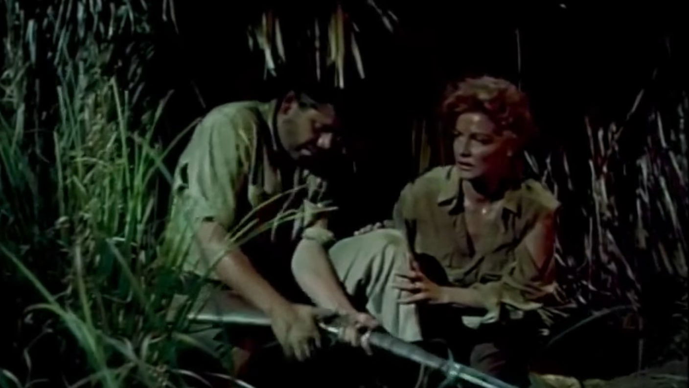 Appointment in Honduras Background