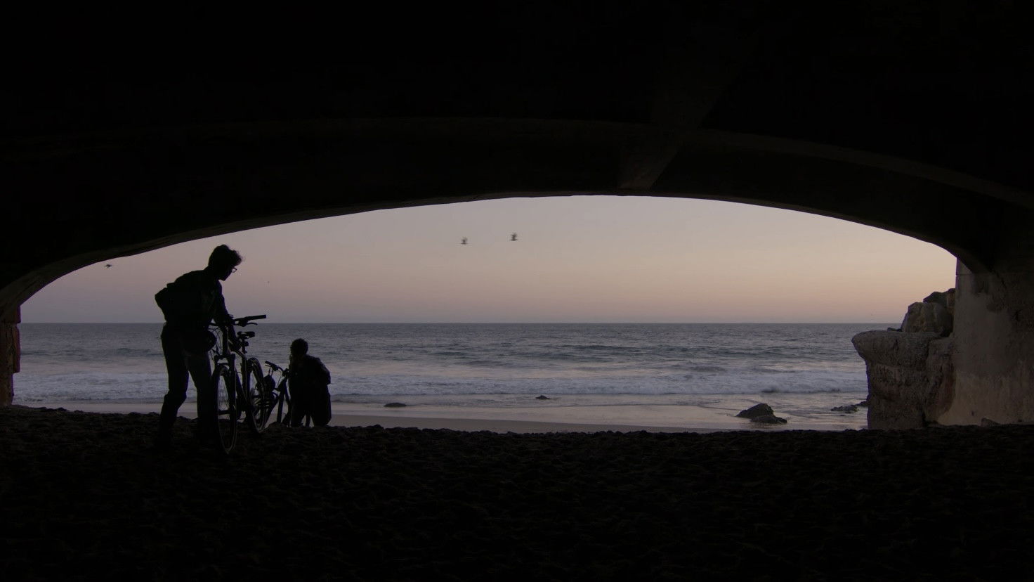 Deleting Daisy Petal Background