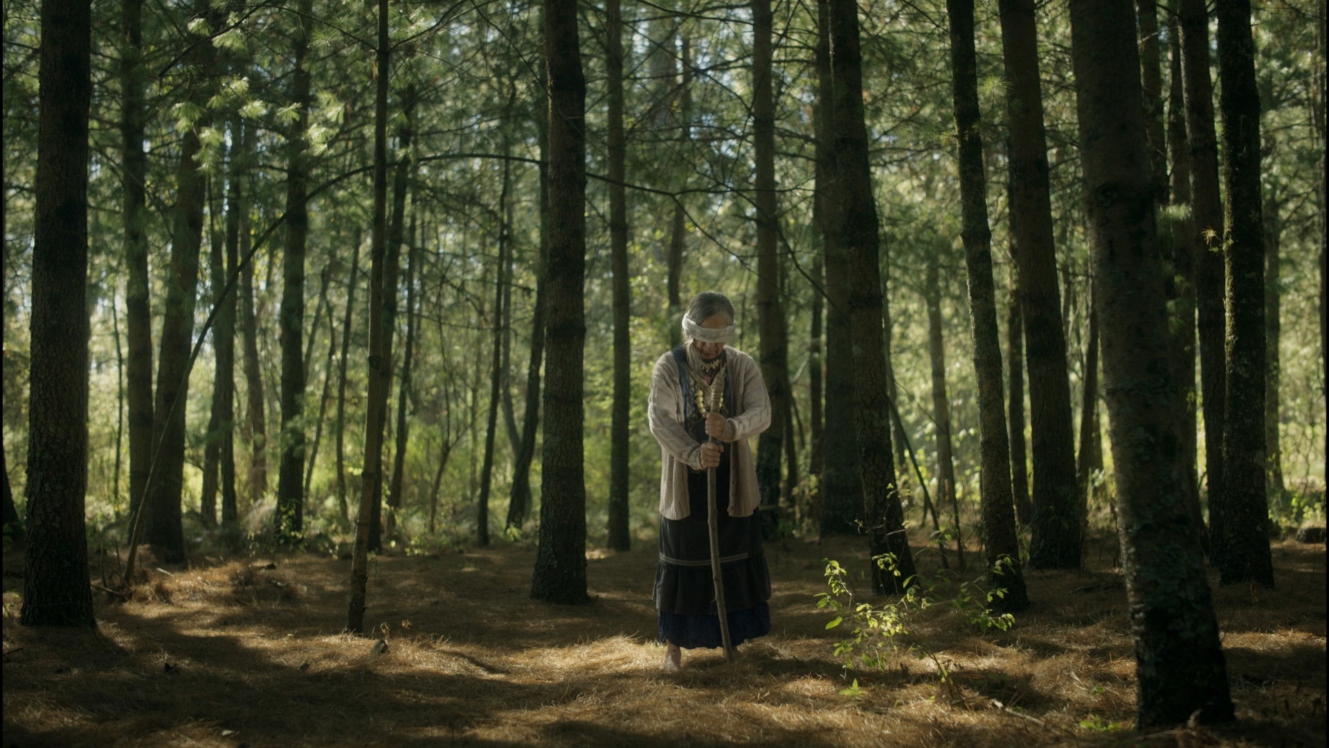 Sacrificio Background