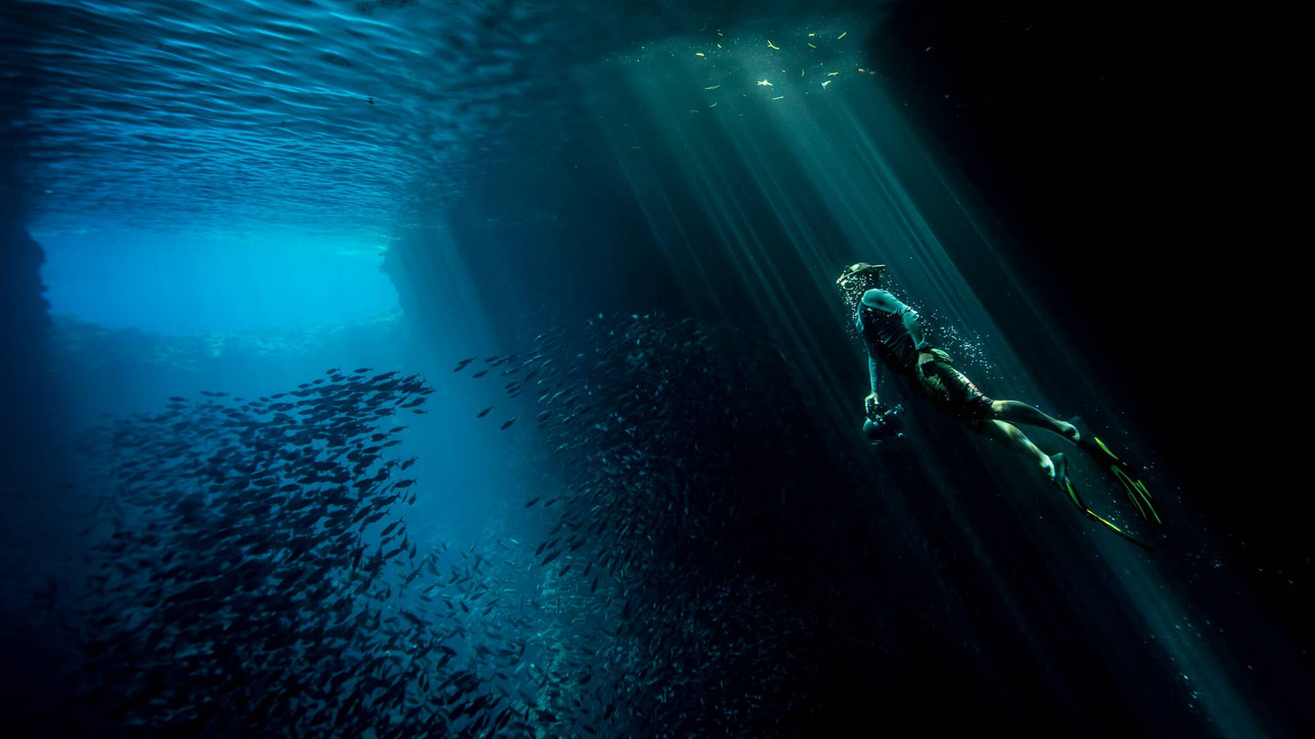 Tales by Light Background