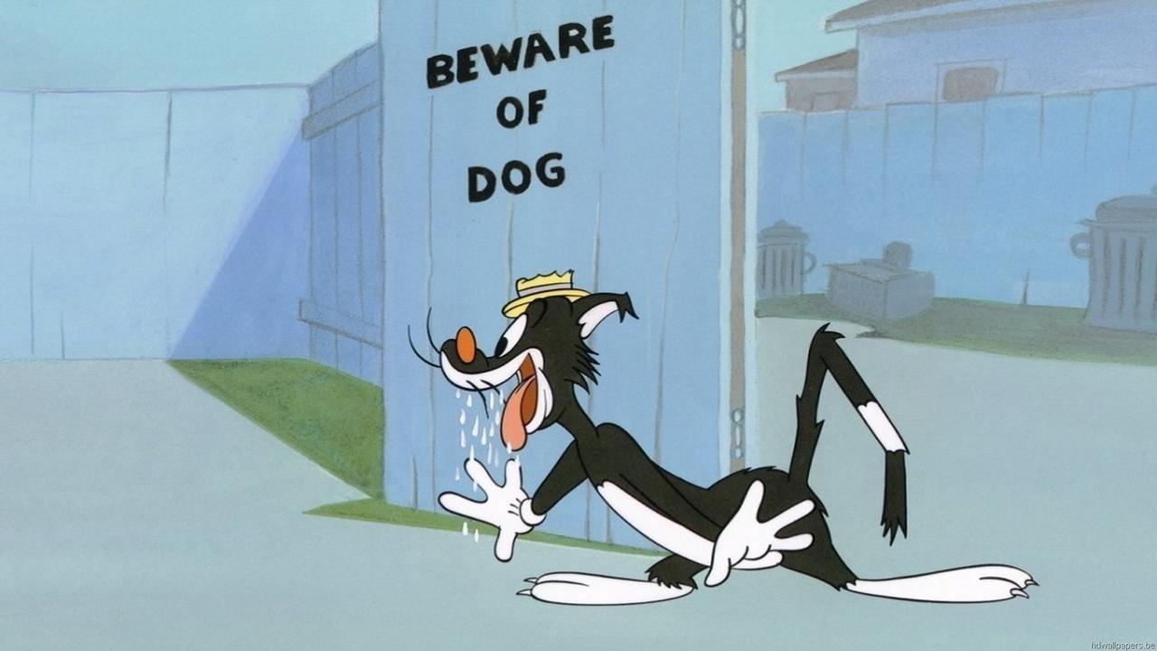 King-Size Canary Background