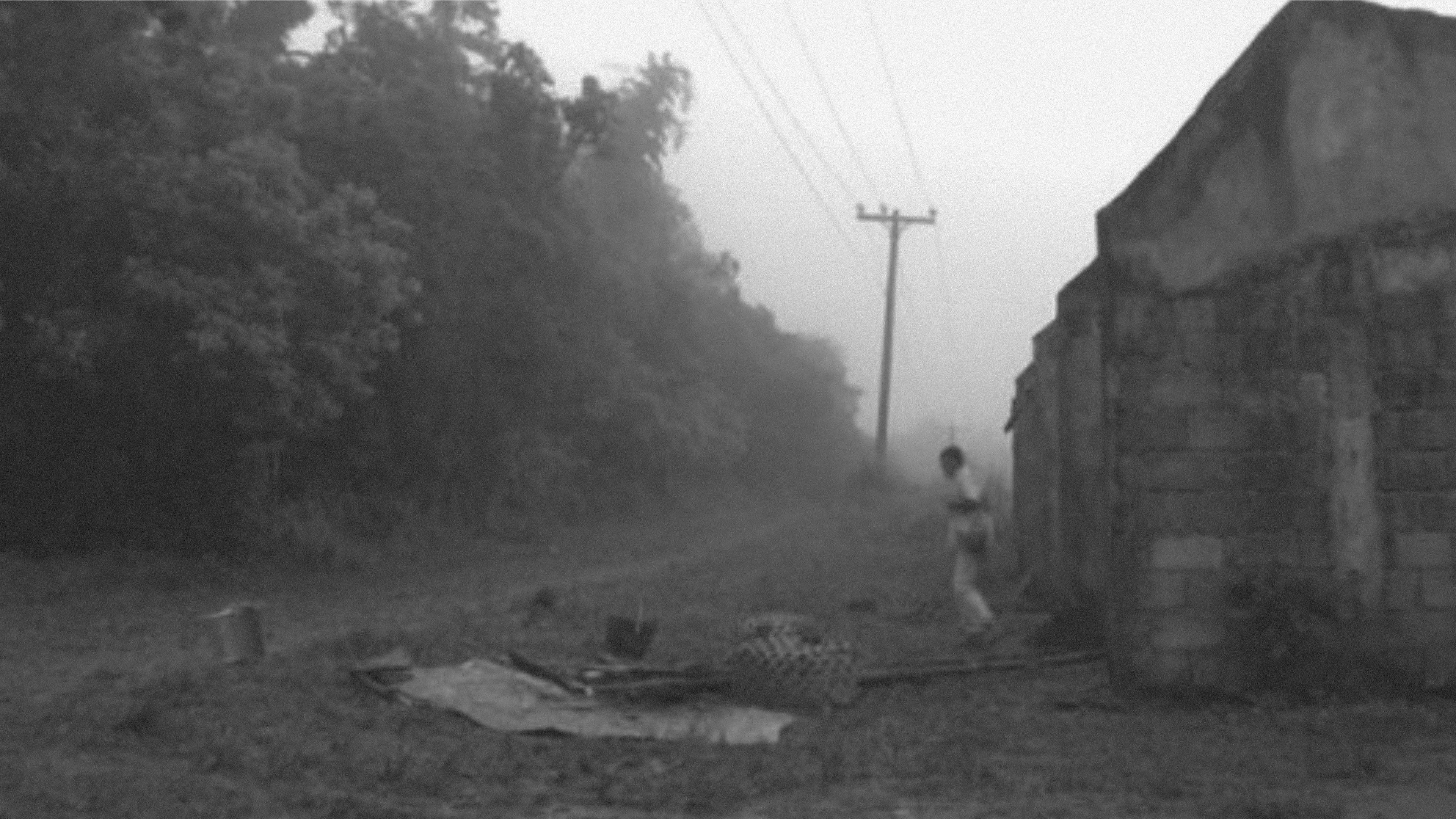 Heremias: Book One - The Legend of the Lizard Princess Background