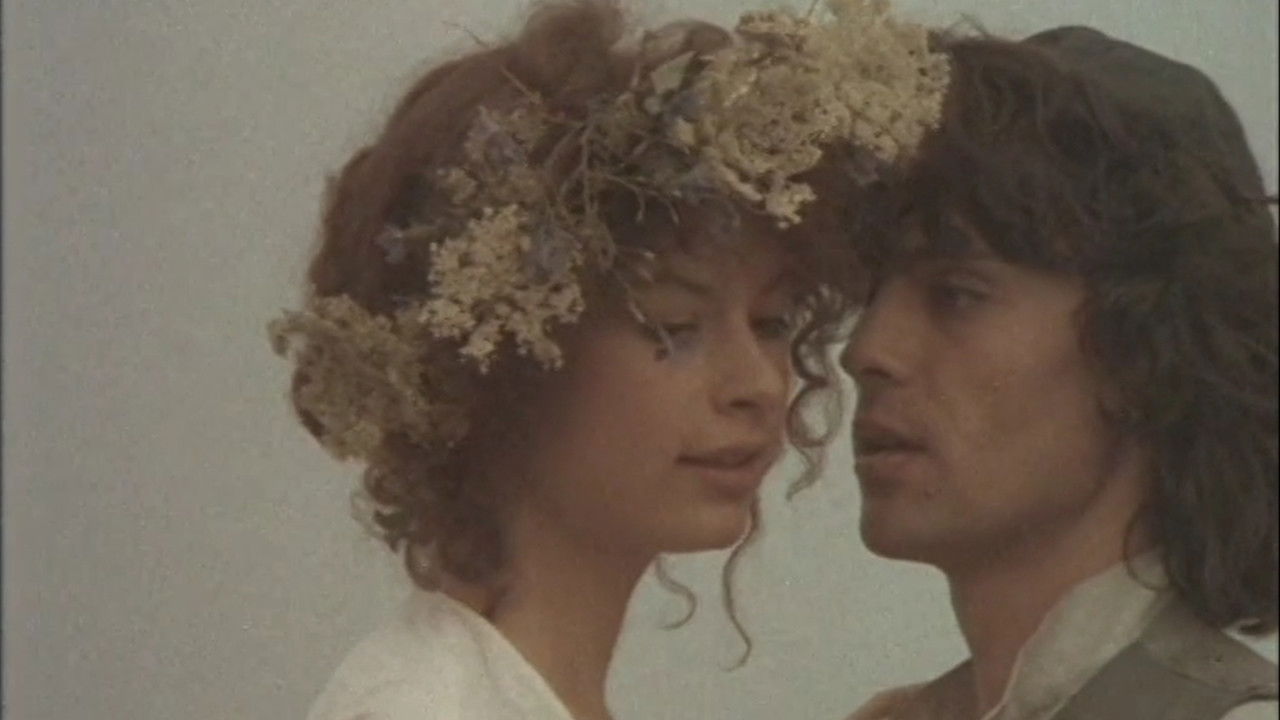 Wandering Stars Background