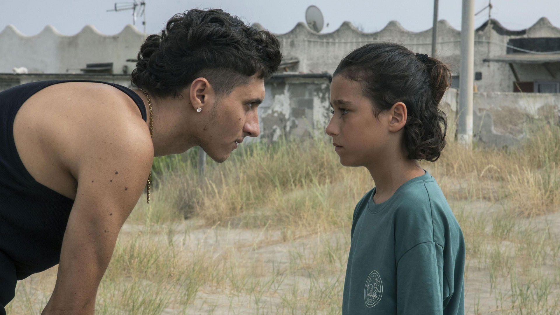 My Summer with the Shark Background