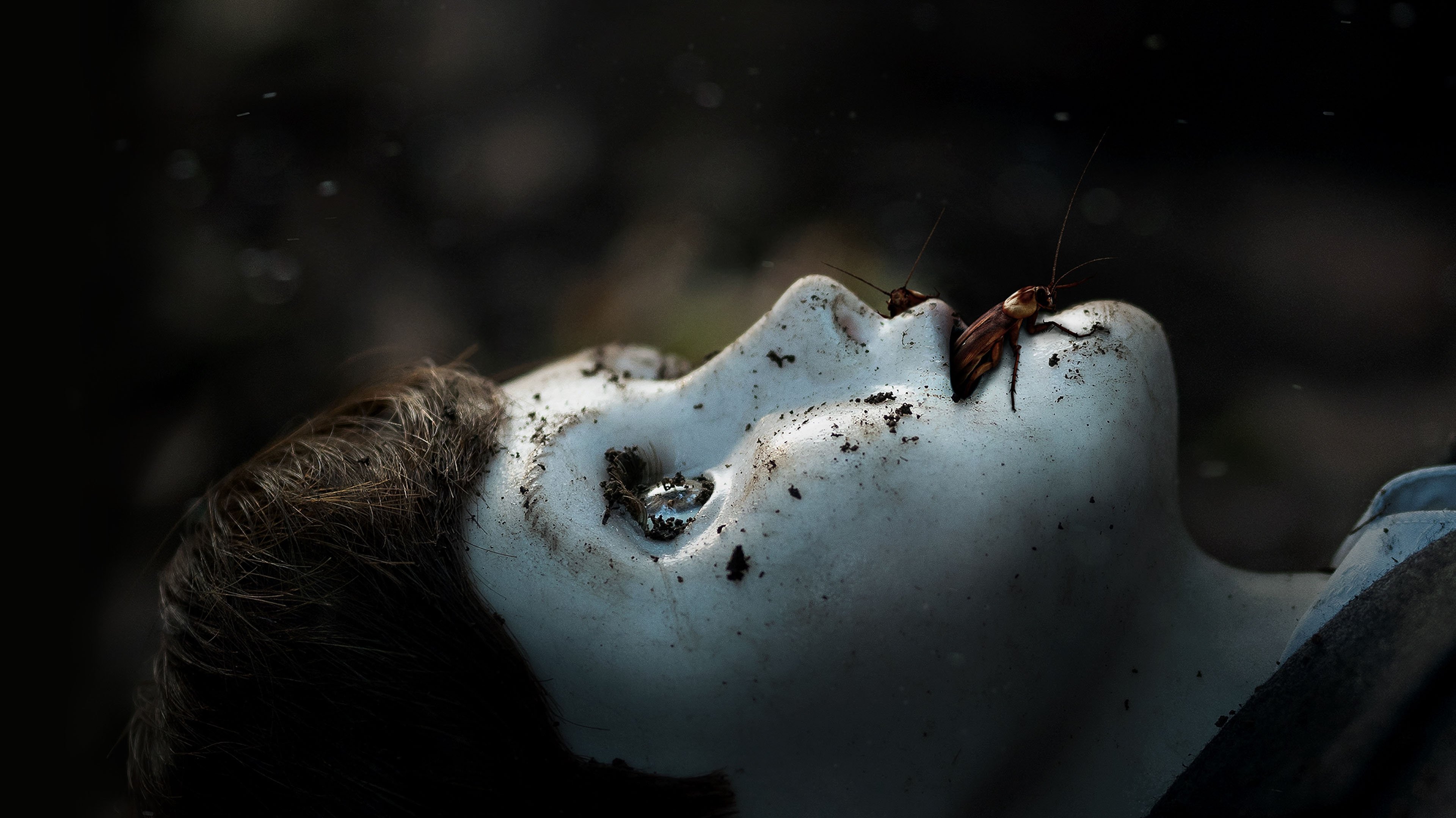 Brahms: The Boy II Background