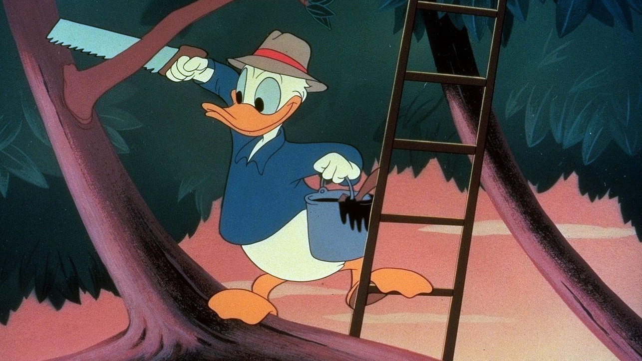 Out on a Limb Background