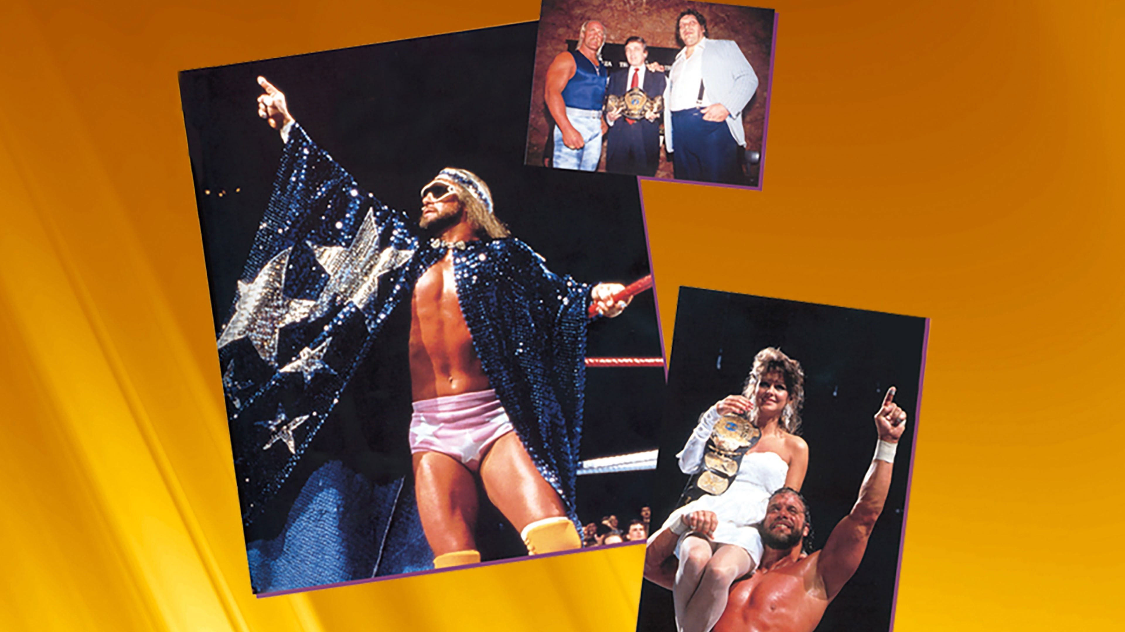WWE WrestleMania IV Background