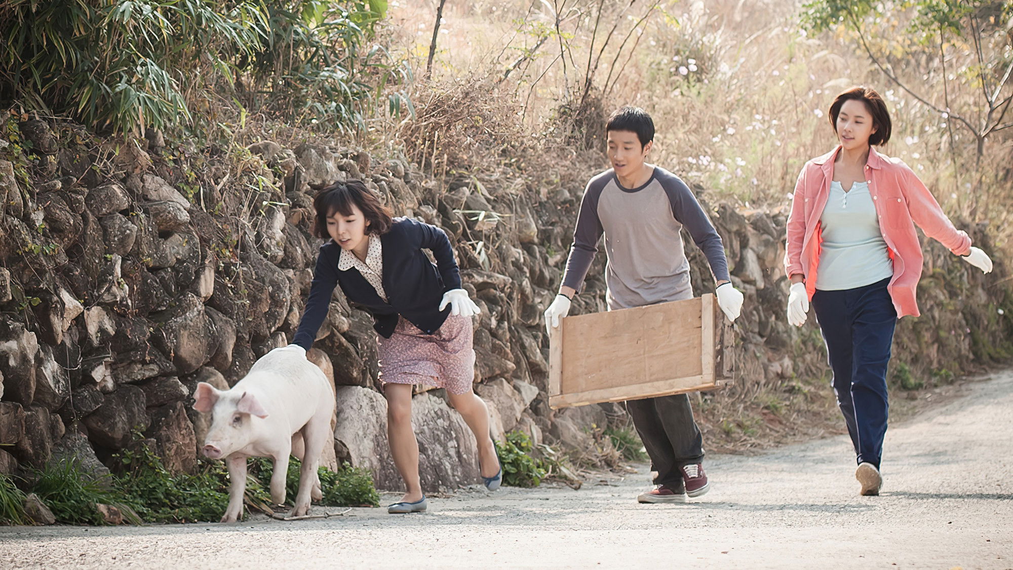 My Sister, the Pig Lady Background