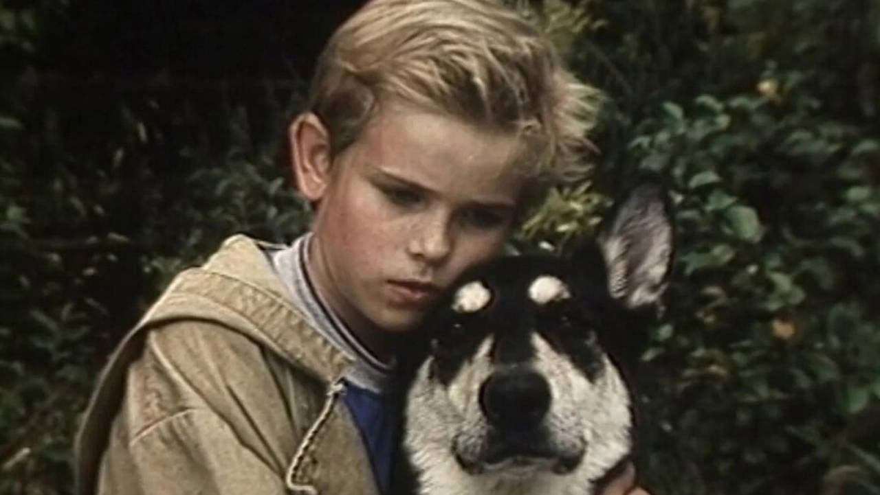 Little Fighter Background