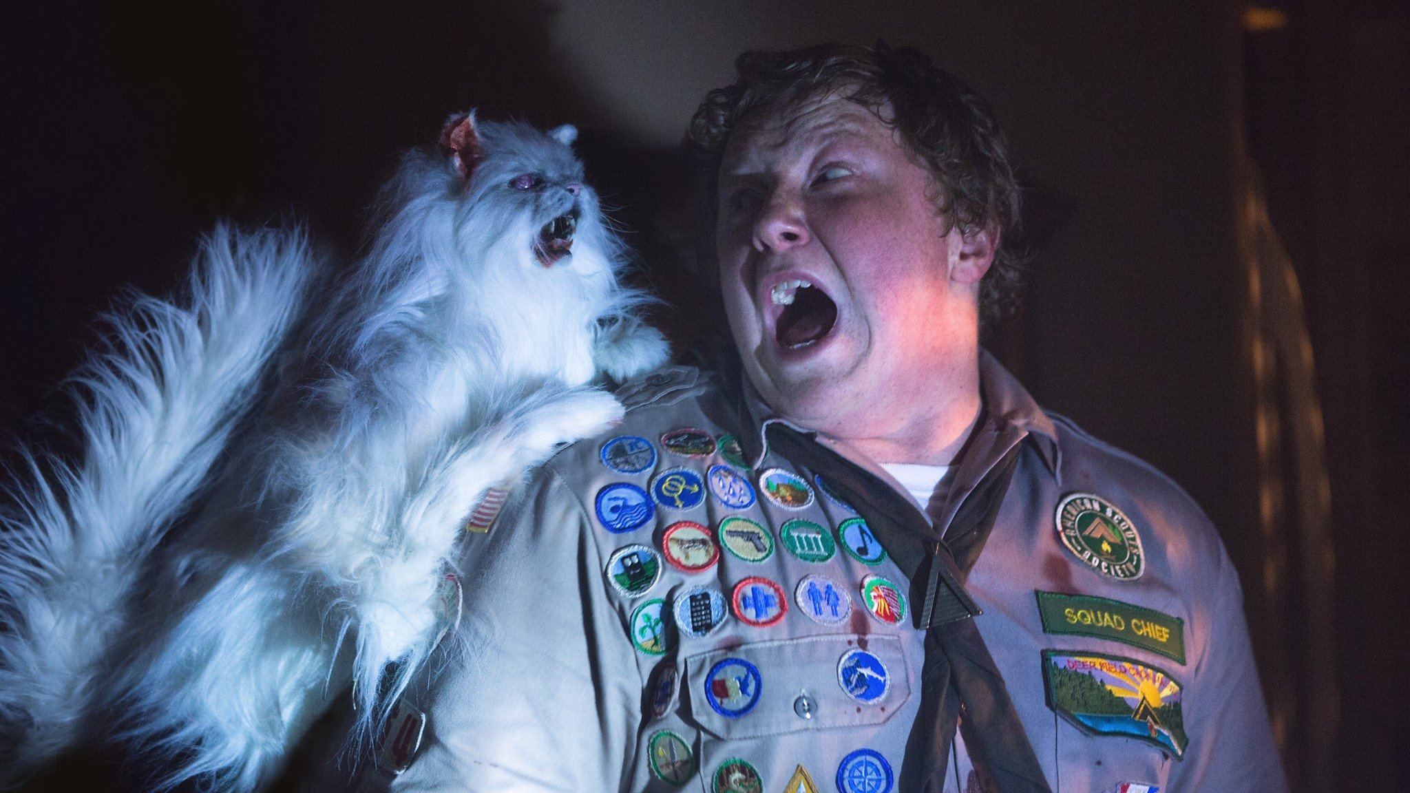 Scouts Guide to the Zombie Apocalypse Background