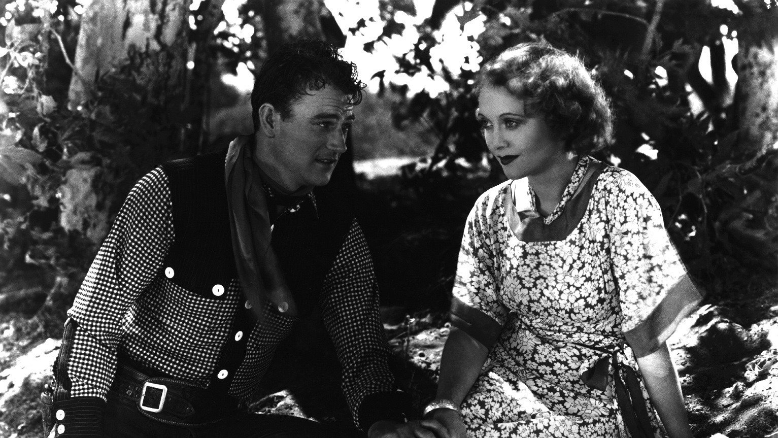 'Neath the Arizona Skies Background