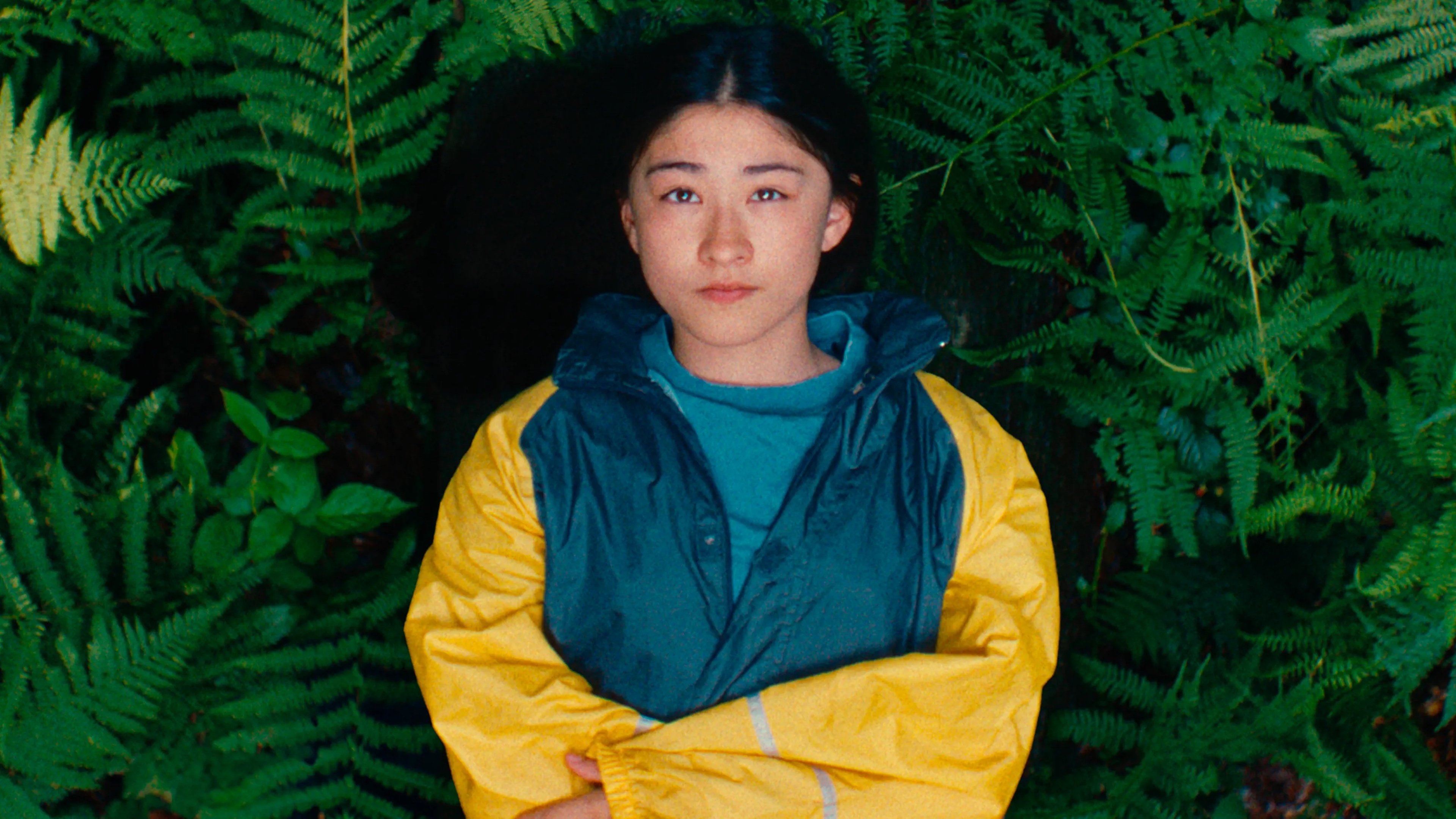 Soft Leaves Background