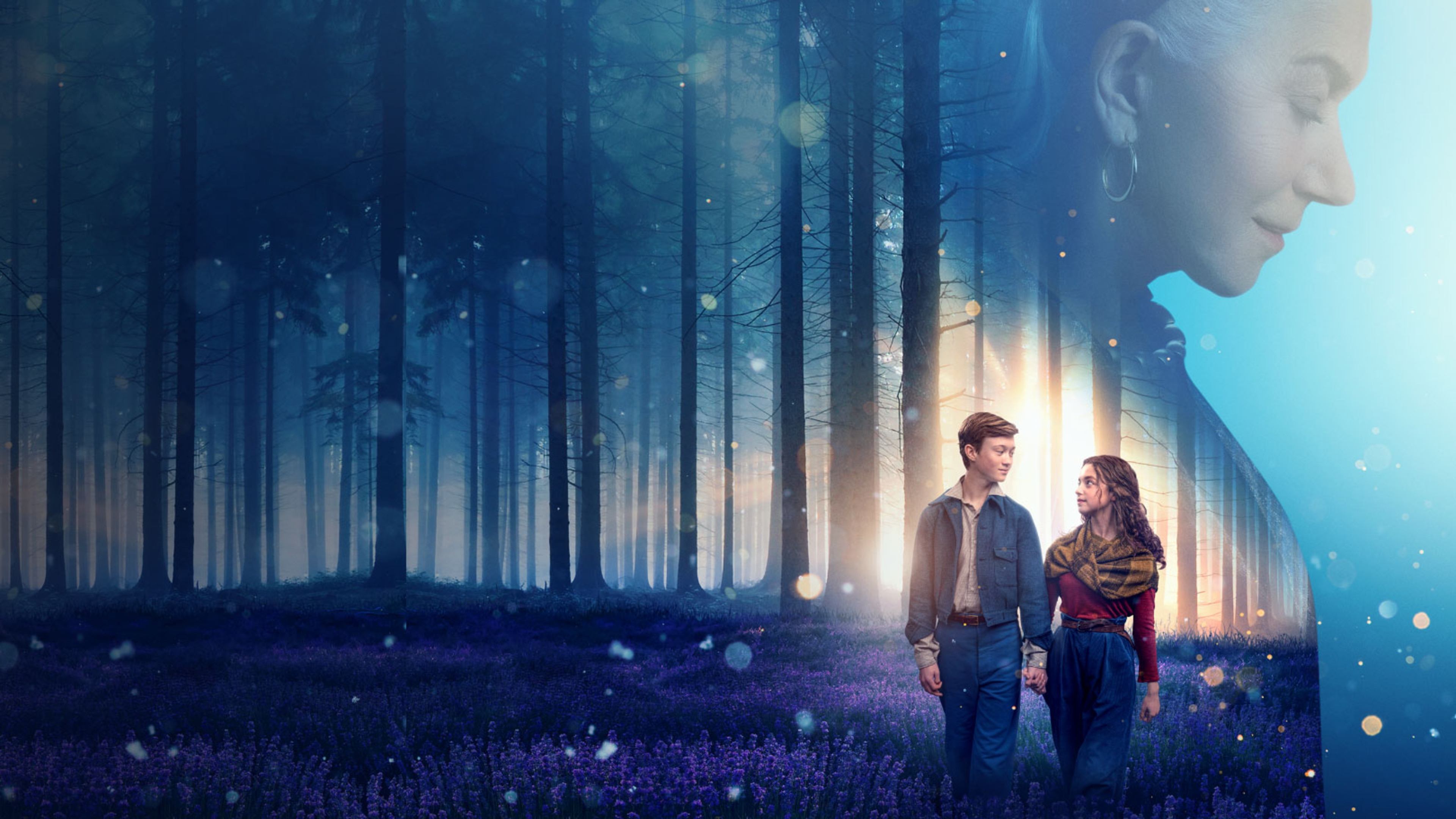 White Bird Background