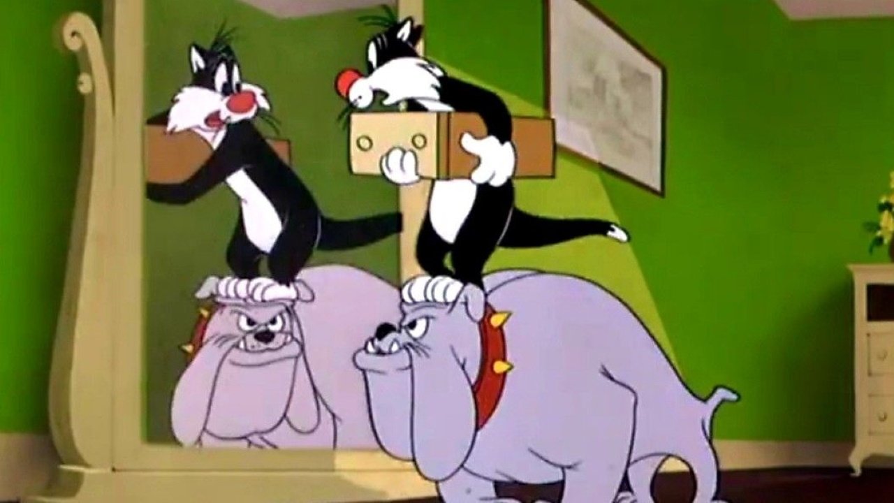 Room and Bird Background