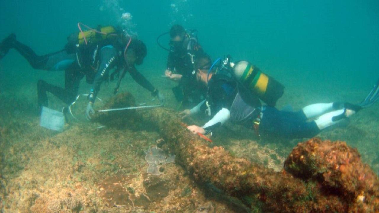 The True Story of Pirates Background