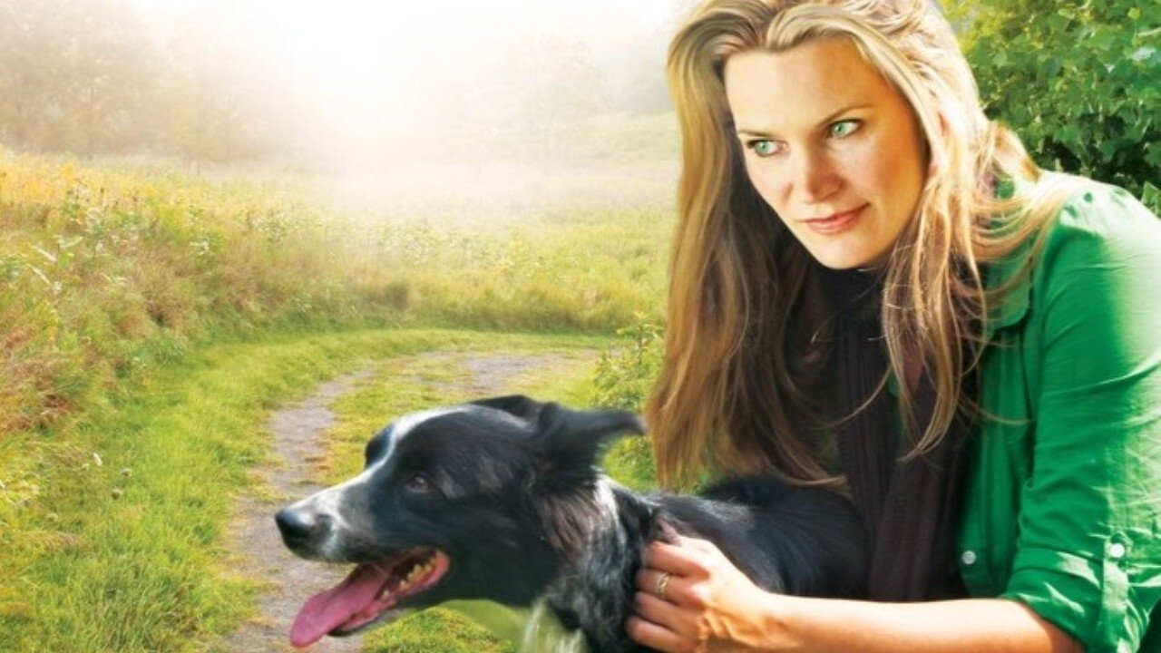 You Lucky Dog Background