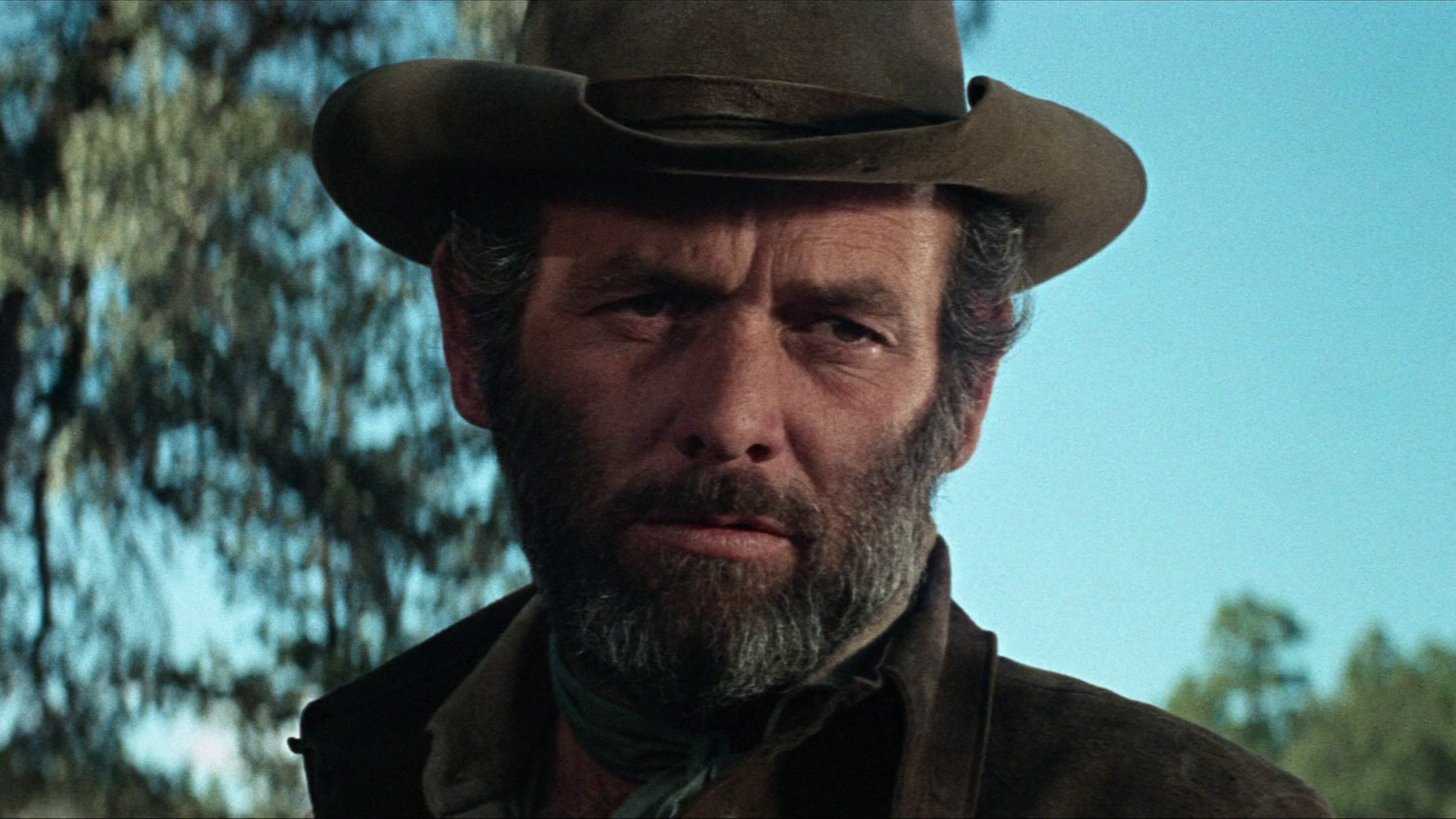 Macho Callahan Background