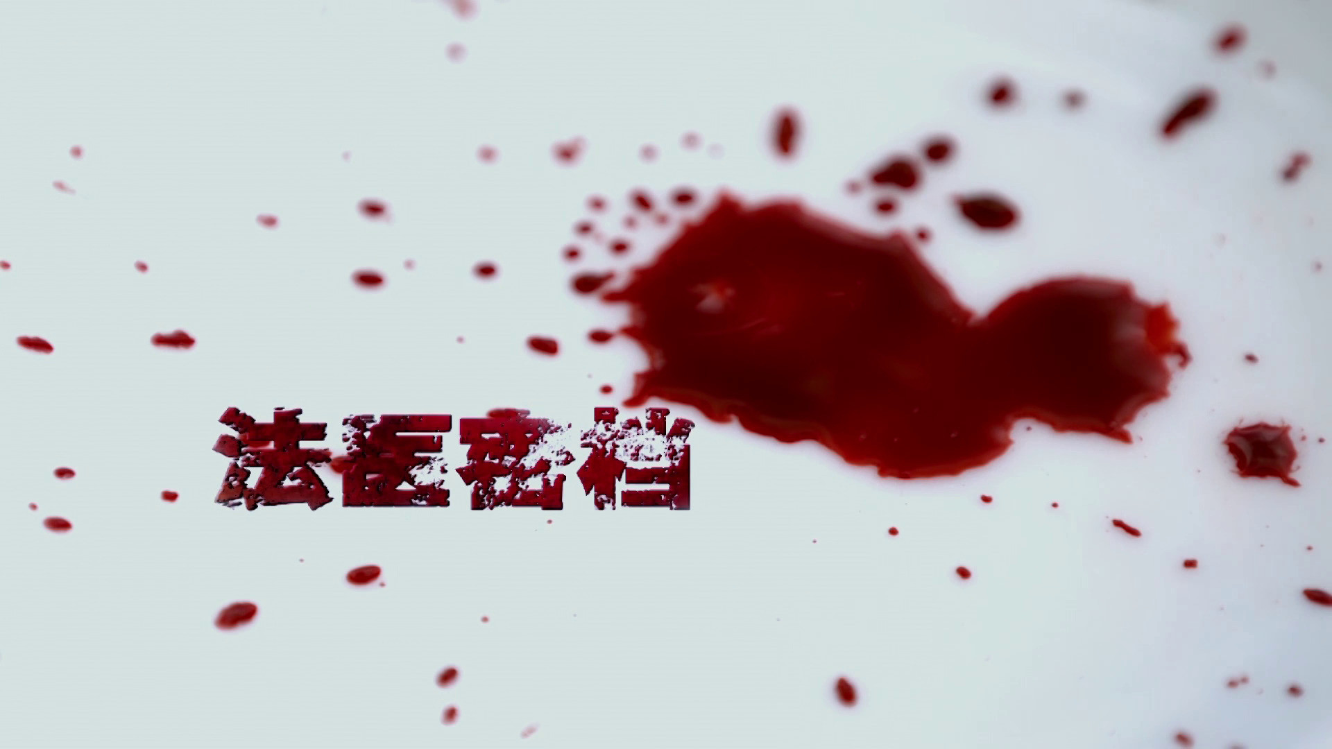 法医密档 Background