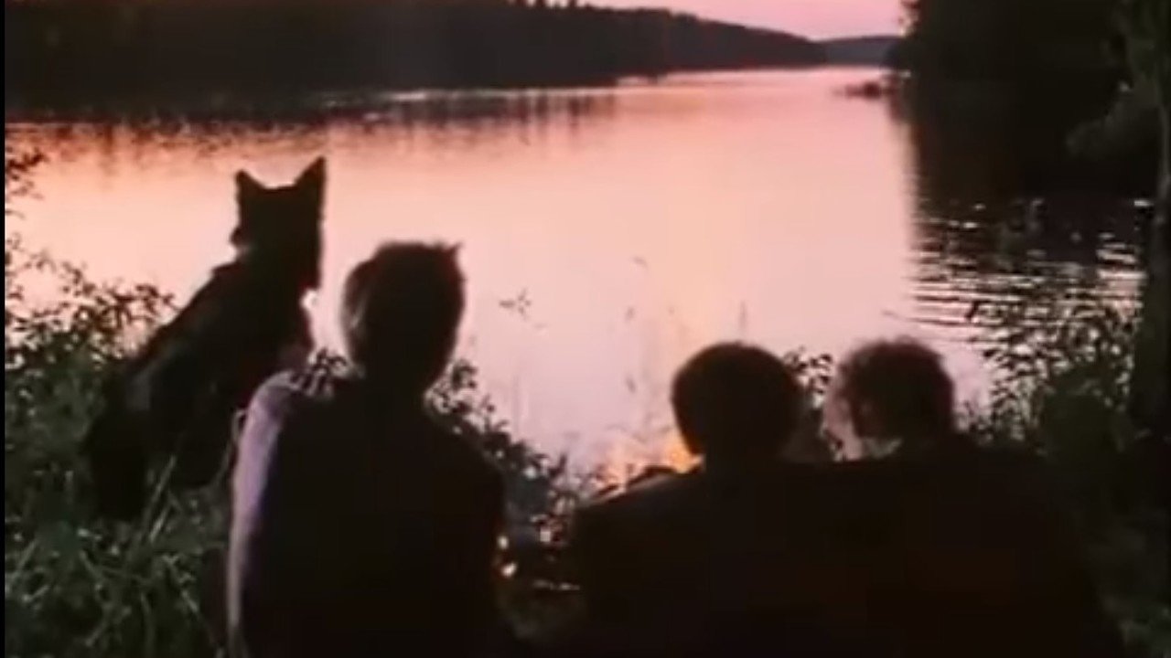 The Poacher Hunter Background