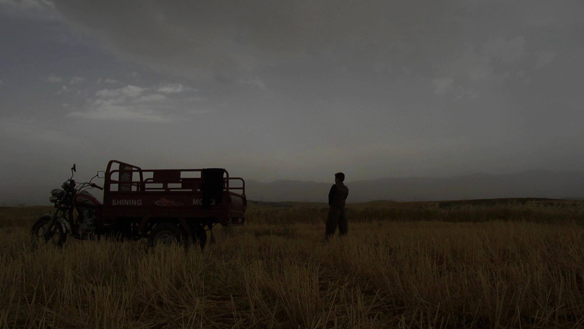 I Want To Live Background