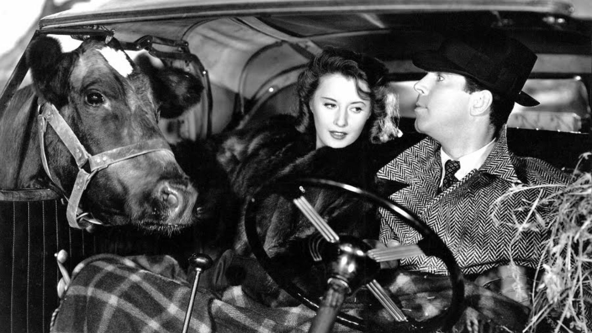 Remember the Night Background