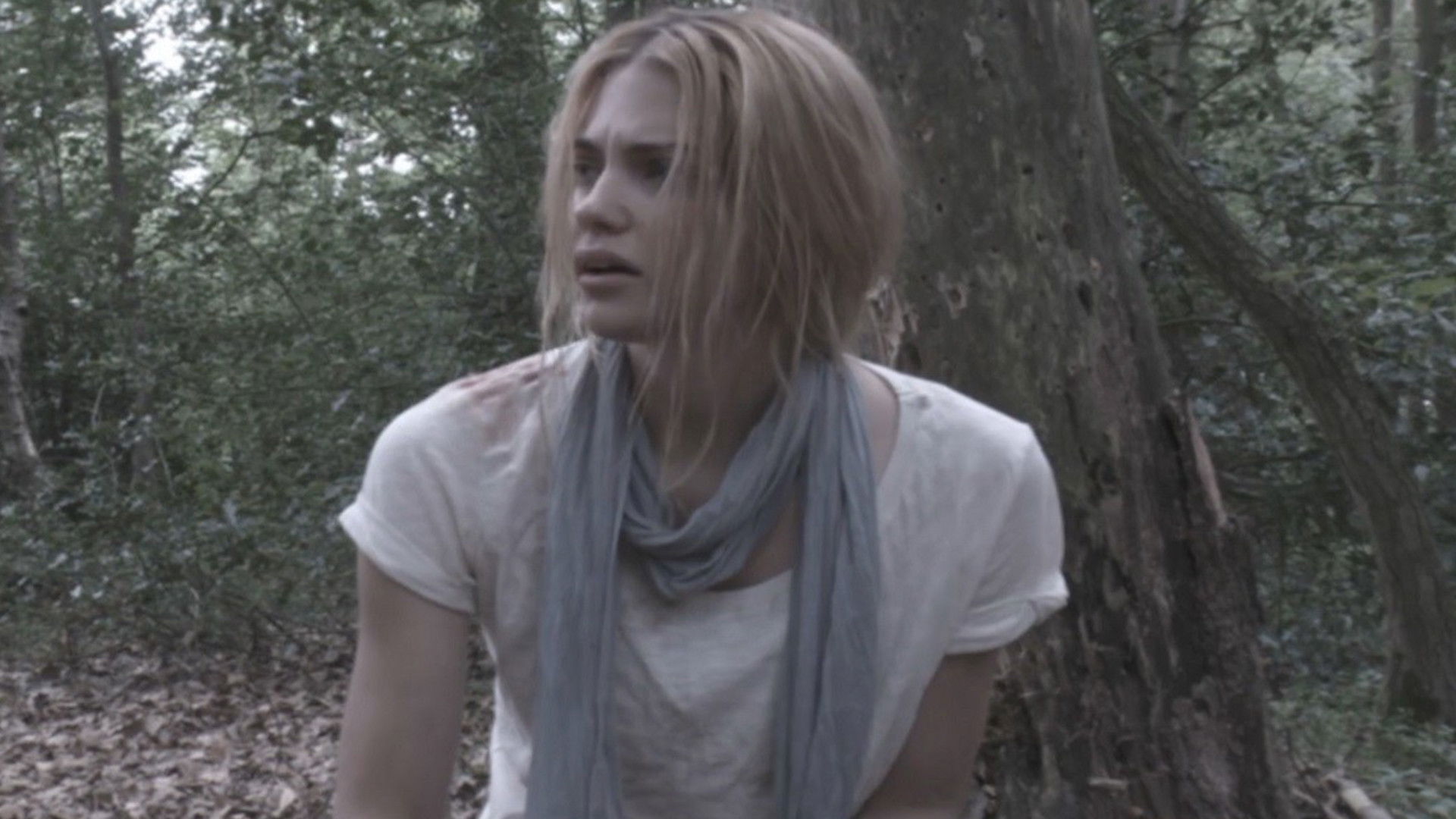 UFO: It Is Here Background