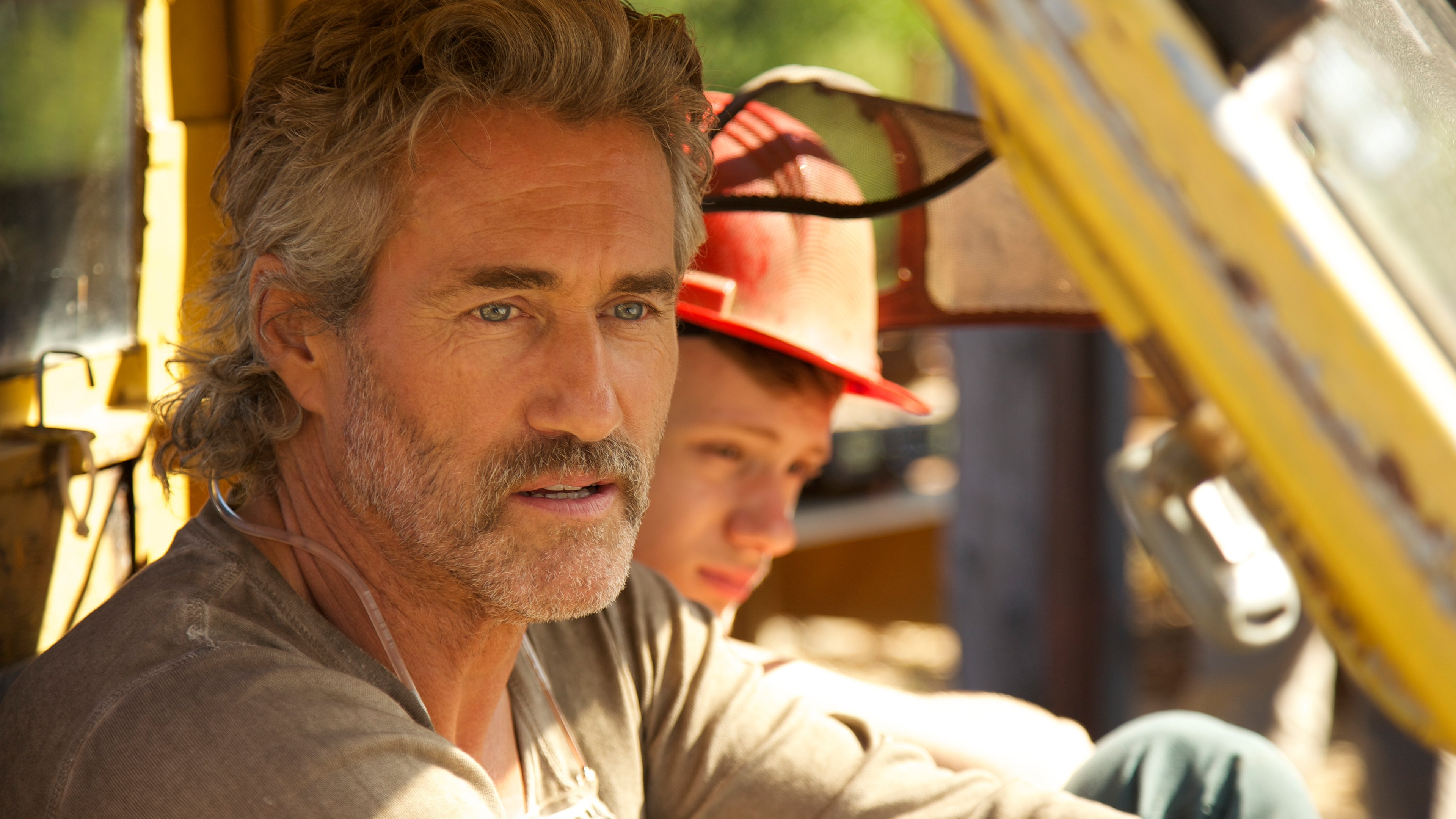 The Sound of Trees Background