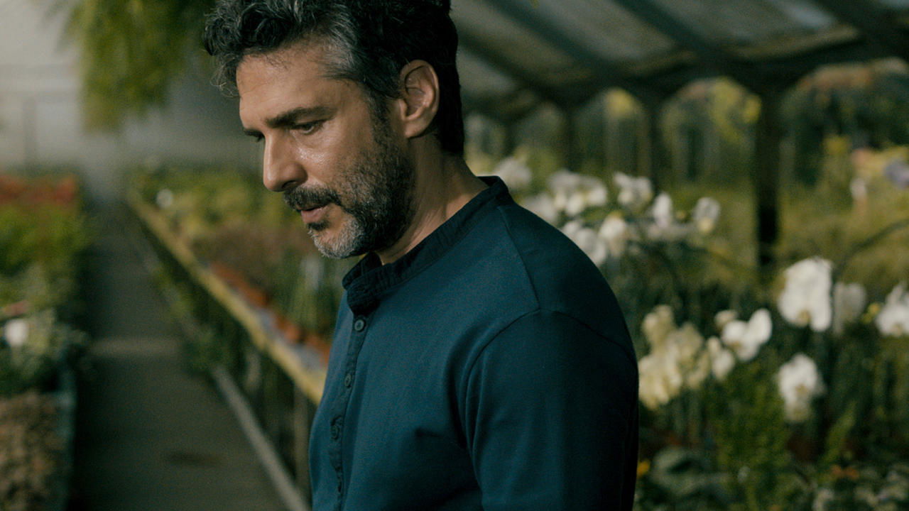 The Silence of the Sky Background