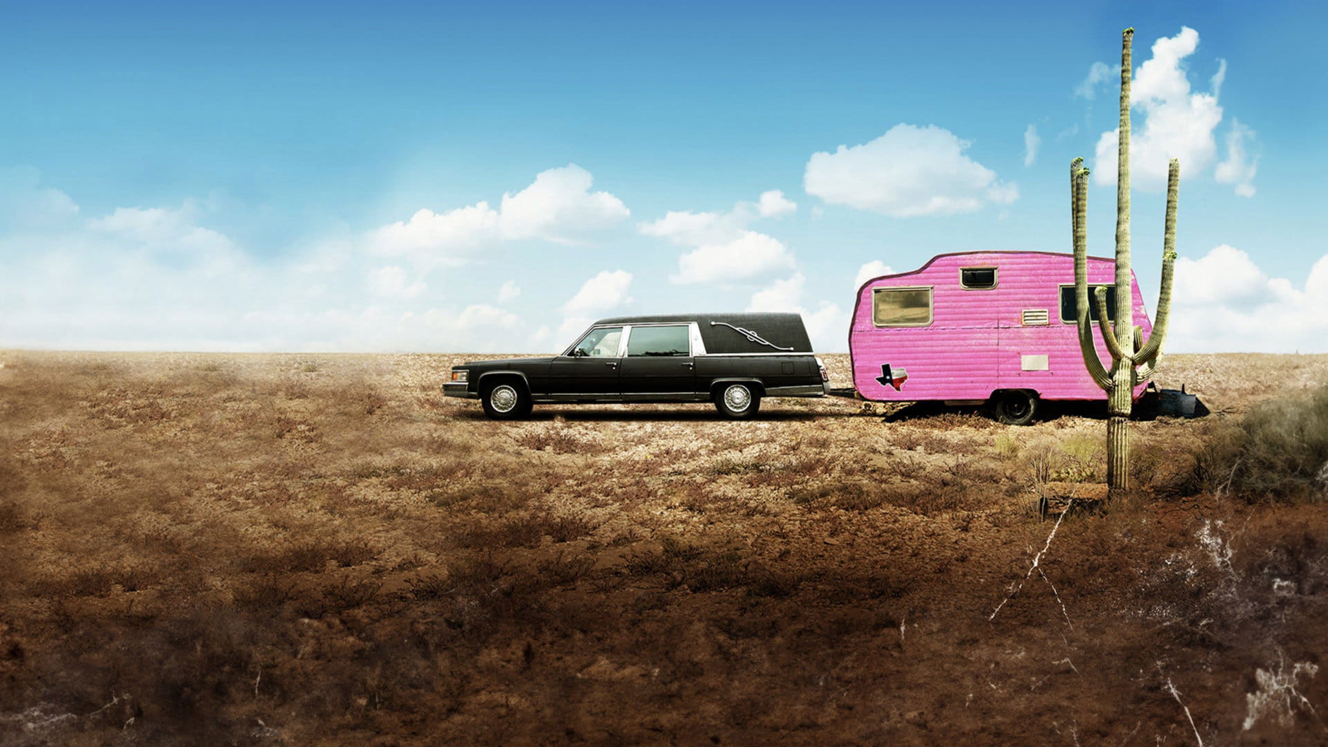 Sordid Lives Background