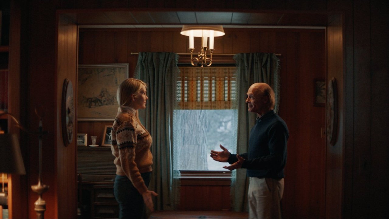 Downtown Owl Background