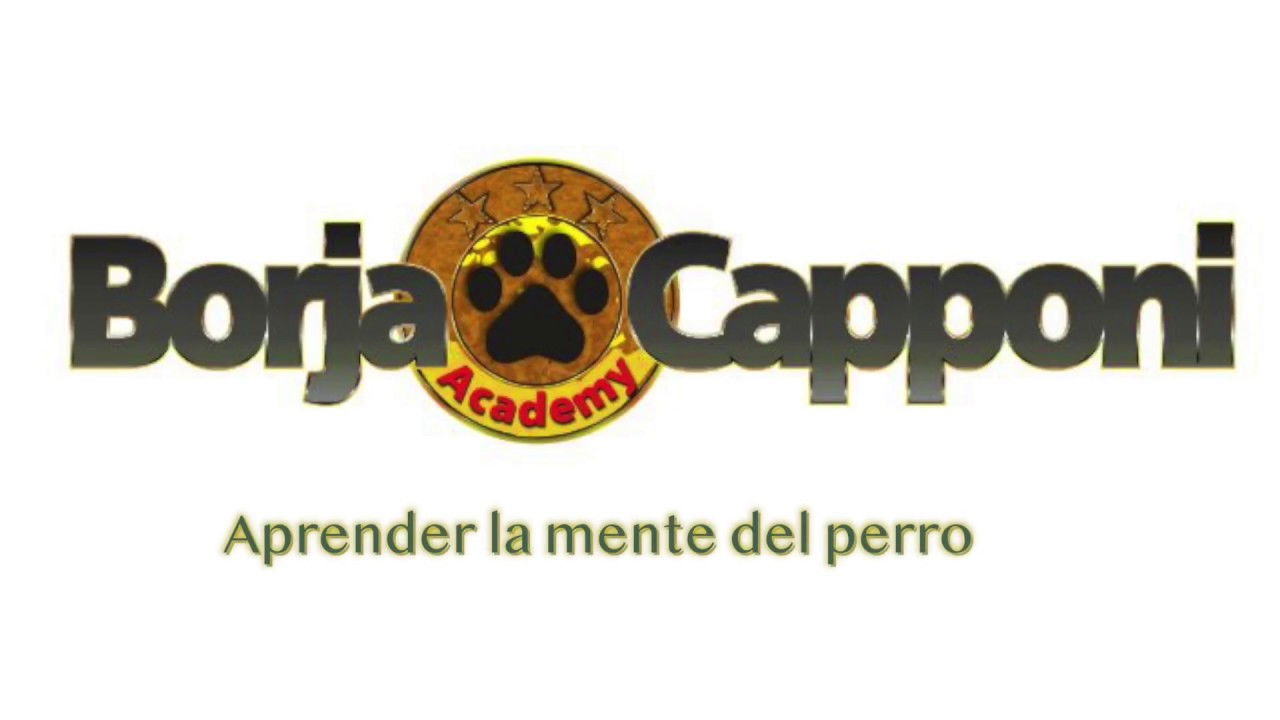 Malas Pulgas Background