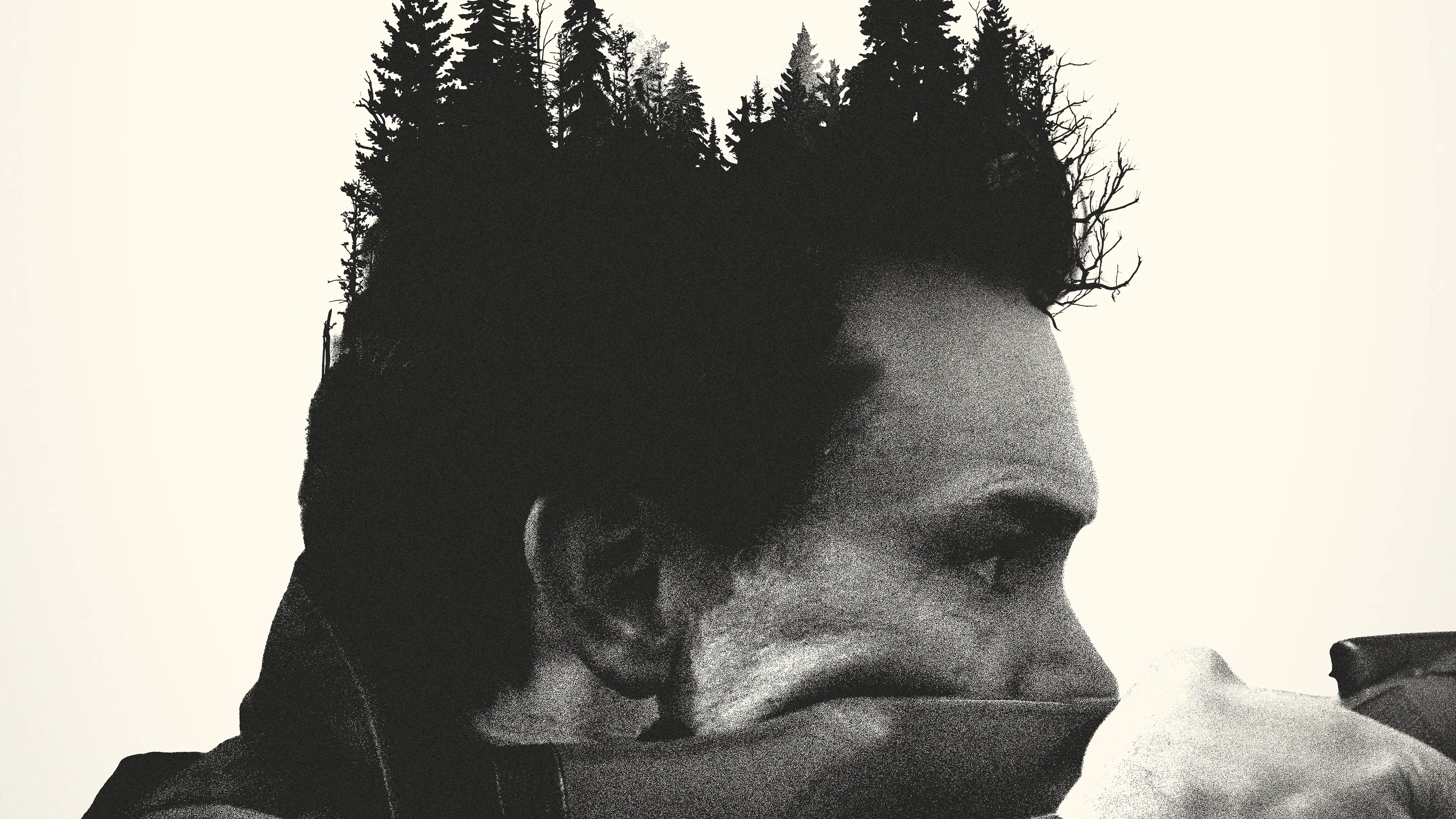 The Integrity of Joseph Chambers Background