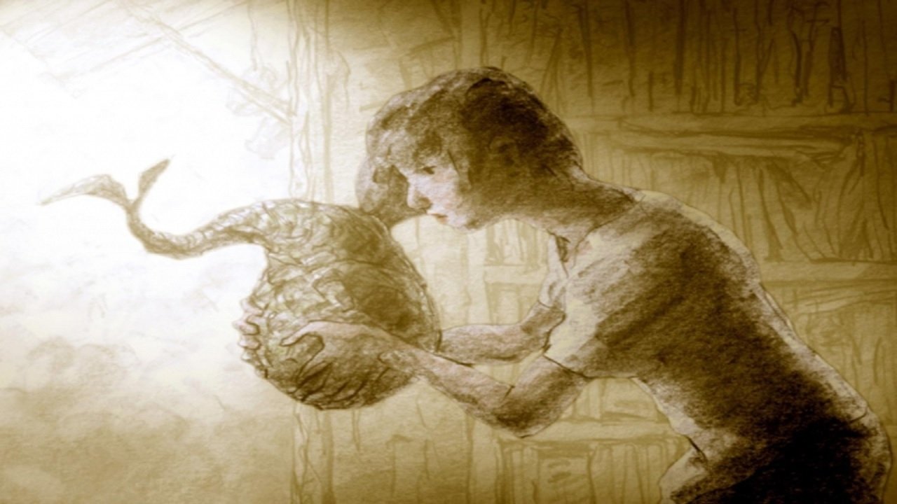 Midori-ko Background