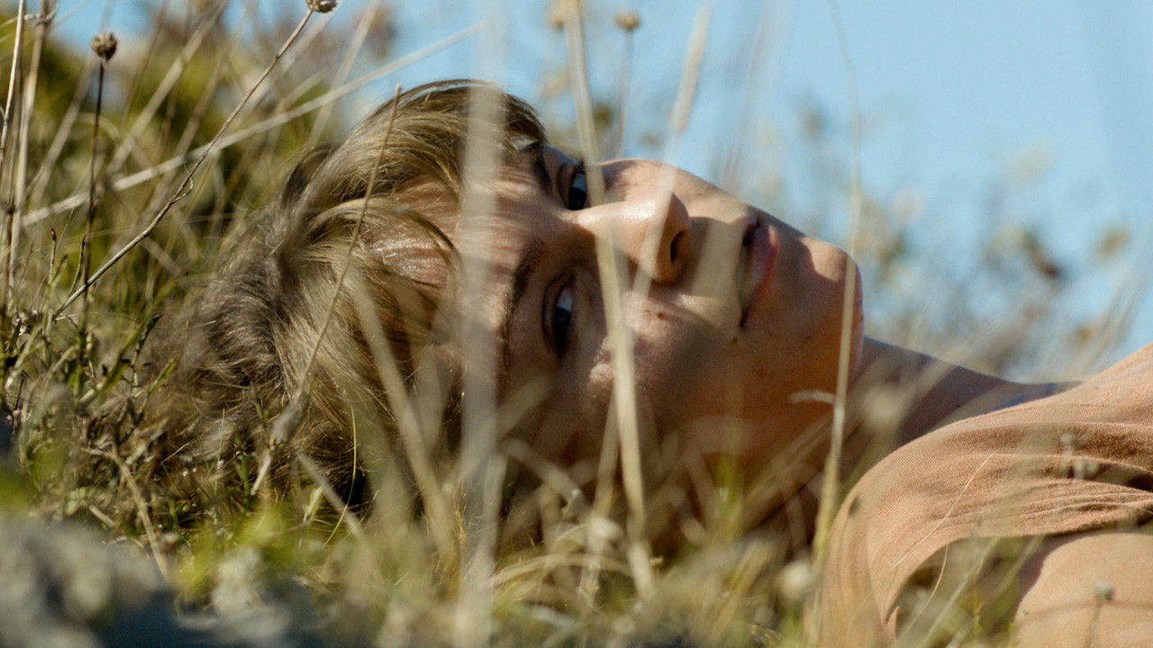 The High Sun Background