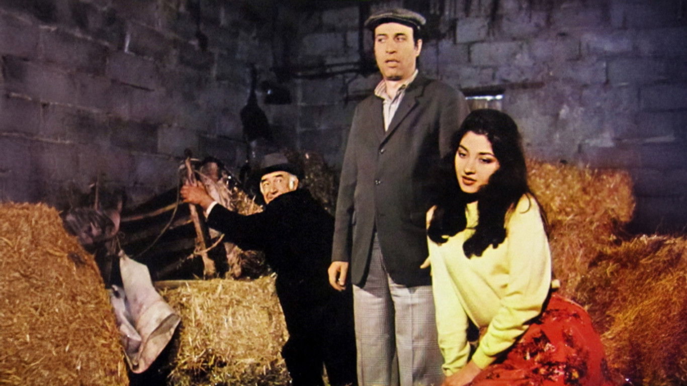 Tokatçı Background