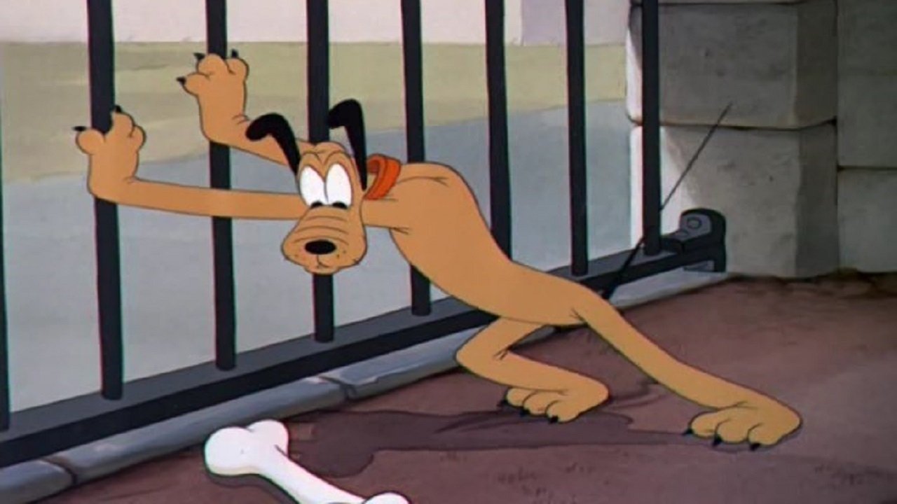 Pluto at the Zoo Background