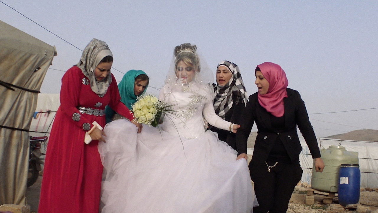 The Long Season Background